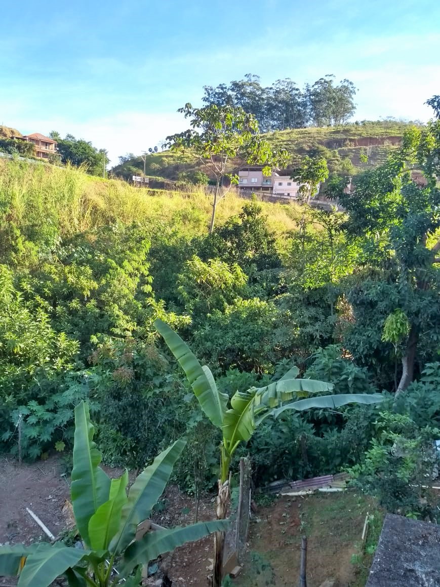 Bairro Lourdes 11 julho 2019 1