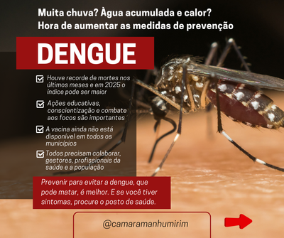 Combate dengue 2025 1