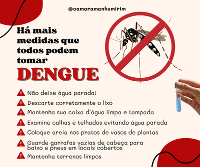 Combate dengue 2025 2