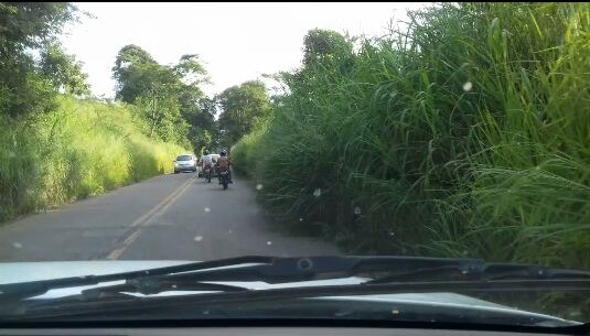 Estrada com capim abril 2018