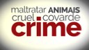 Animais 4