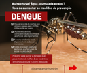 Chuvas e calor propiciam criadouros do mosquito da dengue