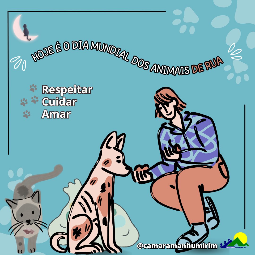 Hoje é o Dia Mundial do Animais de Rua