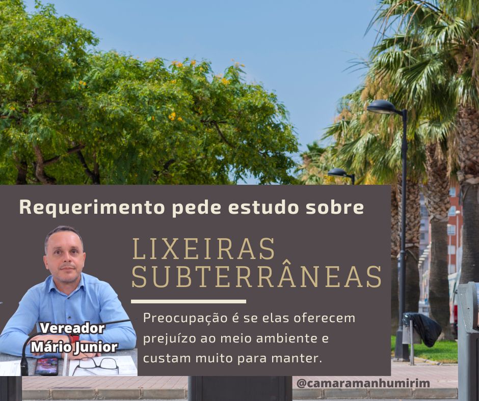 Requerimento pede estudo sobre lixeiras subterrâneas